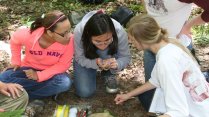 Biology Seminar: The Sound of Conservation