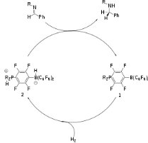 Transition Metals Oxos/Nitridos as the Lewis Base Component of Frustrated Lewis Pairs