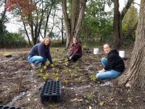 Stewardship Volunteer Day