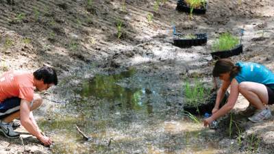 Students work to restore Plaster Creek.