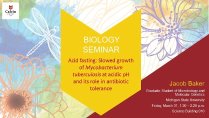 Acid Fasting: Slowed growth of Mycobacterium tuberculosis at acidic pH and its role in antibiotic tolerance