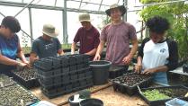 Greenhouse Work Day