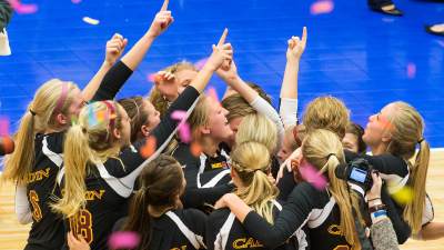 The Calvin women's volleyball team.