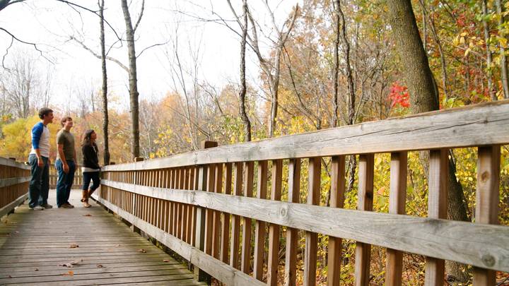 A trail in the Ecosystem Preserve in the fall