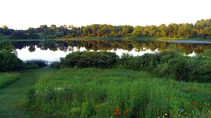 Flat Iron Lake Preserve