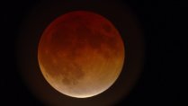 Total Lunar Eclipse Viewing