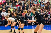 Varsity Volleyball vs. Albion