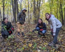 Stewardship Volunteer Workday