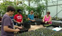 Kids in the greenhouse