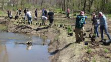 About a dozen people with shovels and plants are working outside near a river.