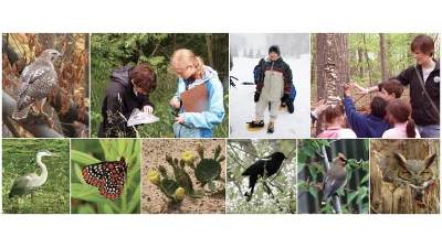 Scenes from the Calvin Ecosystem Preserve.