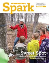 Spark - Summer 2014 cover