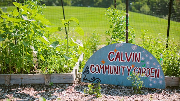 Community Garden (KE)