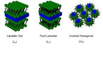 Molecular volumes in lipid bilayers and the biophysics of lipids in the lungs