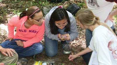 Student researchers holding and peering at a songbird.