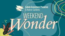 Preserve: Weekend Wonder | Back-to-school Stitch & Swap