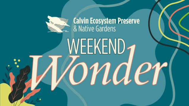 Preserve: Weekend Wonder | Back-to-school Stitch & Swap