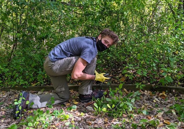 Stewardship Volunteer Day