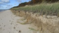 Wave erosion of sand dune shows exposed sediment layers