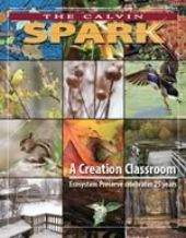 Spark - Summer 2010 cover