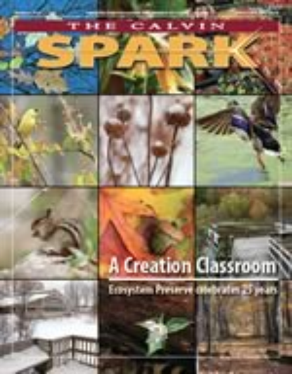 Spark - Summer 2010