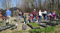 Native Plant Sale Additional Date