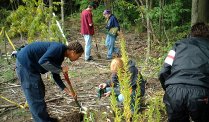 Stewardship Work Day