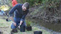 Shadyside Park Planting