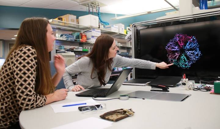 Two professors studying a computer display