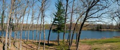 Trees beside Waltman Lake.