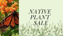 Native Plant Sale