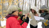 Professional Development Workshop - Environmental Education