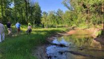 Plaster Creek Stewards working in Grand Rapids