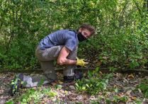 Volunteers planting native speicies.