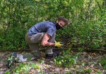 Stewardship Volunteer Day