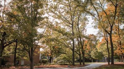 Campus beauty photo in fall