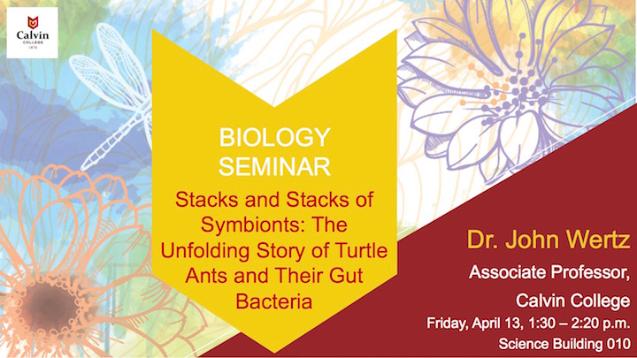 Stacks and Stacks of Symbionts: The Unfolding Story of Turtle Ants and Their Gut Bacteria