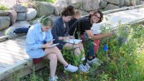 Calvin University students sitting on a wooden bridge in the ecosystem preserve