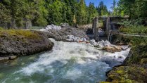 Building Back Together: Partnering with The Nature Conservancy to Restore Headwater Streams by Removing Dams and Restoring Stream Channels