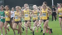 cross country runners start a race