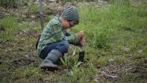 Plaster Creek Stewards Greenhouse Night