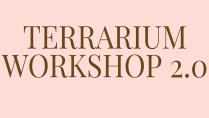 Terrarium Building Workshop