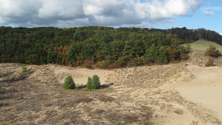 Dunes Research