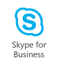 iconskype